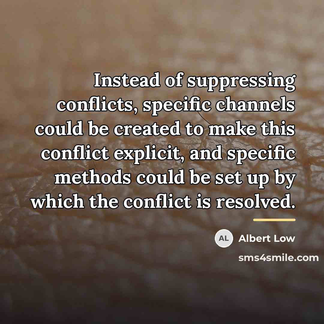 “Instead of suppressing conflicts, specific channels could be created to…” quote by Albert Low
