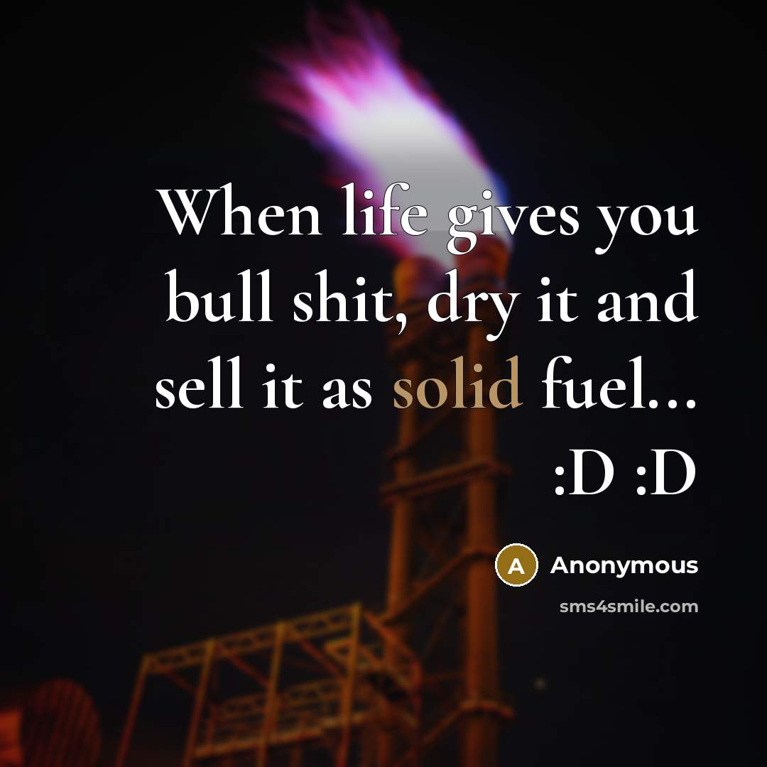 “When life gives you bull shit, dry it and sell…” quote by Anonymous