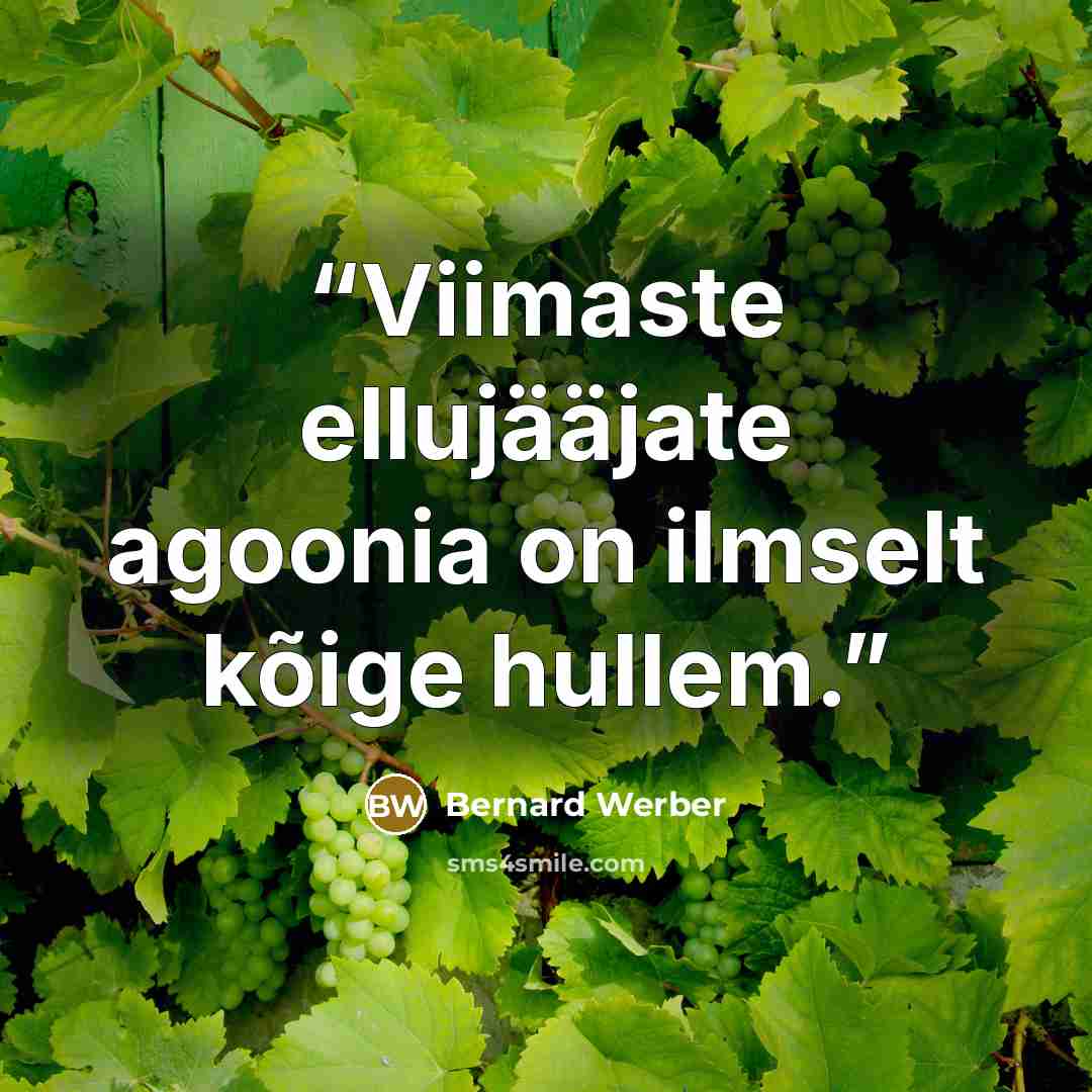 “Viimaste ellujääjate agoonia on ilmselt kõige hullem.” quote by Bernard Werber