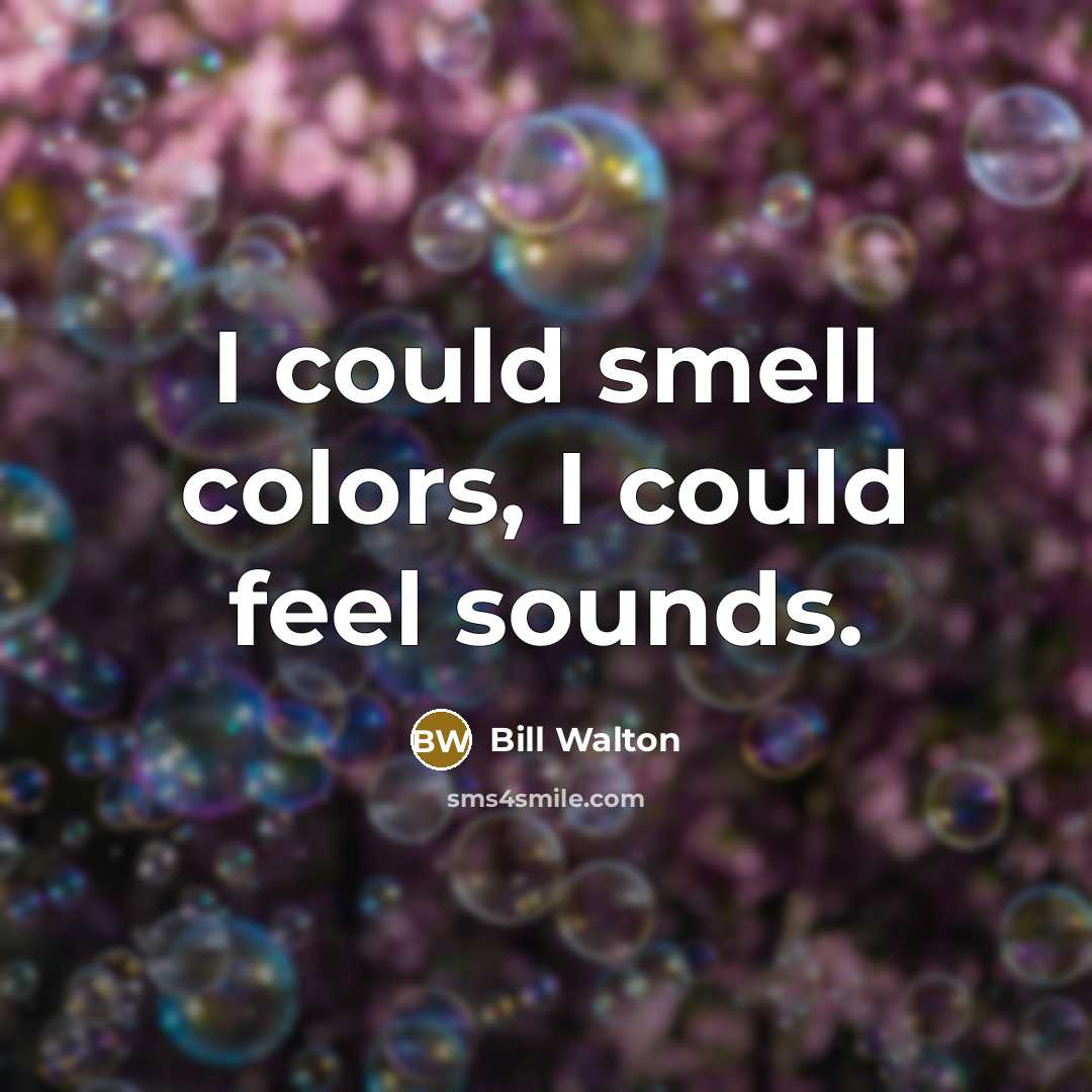 “I could smell colors, I could feel sounds.…” quote by Bill Walton