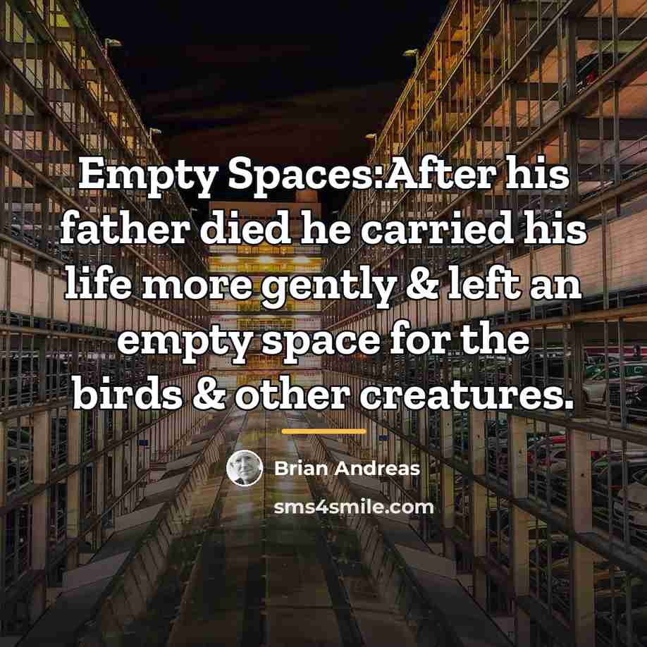 “Empty Spaces:After his father died he carried his life more…” quote by Brian Andreas