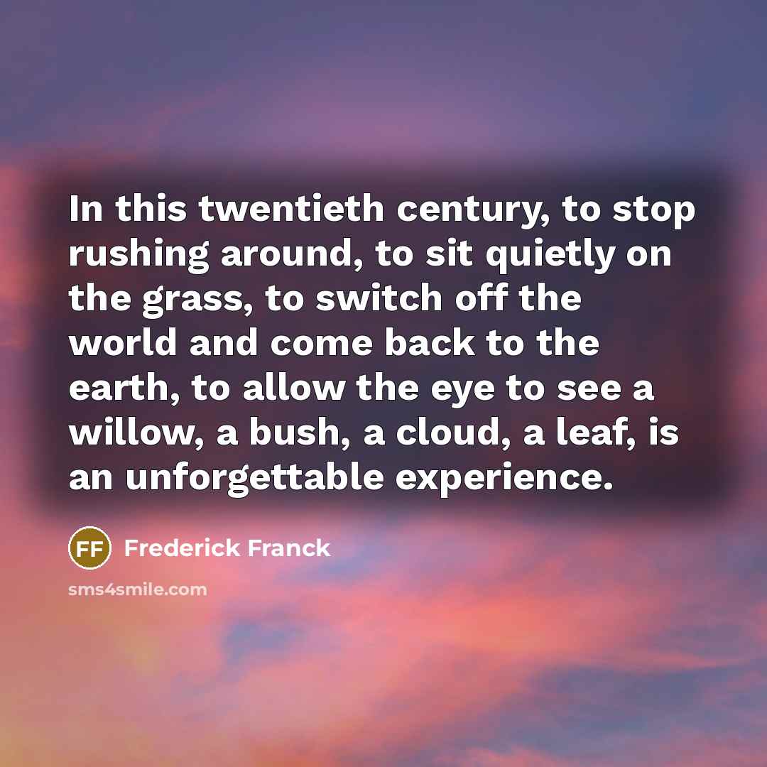 “In this twentieth century, to stop rushing around, to sit…” quote by Frederick Franck
