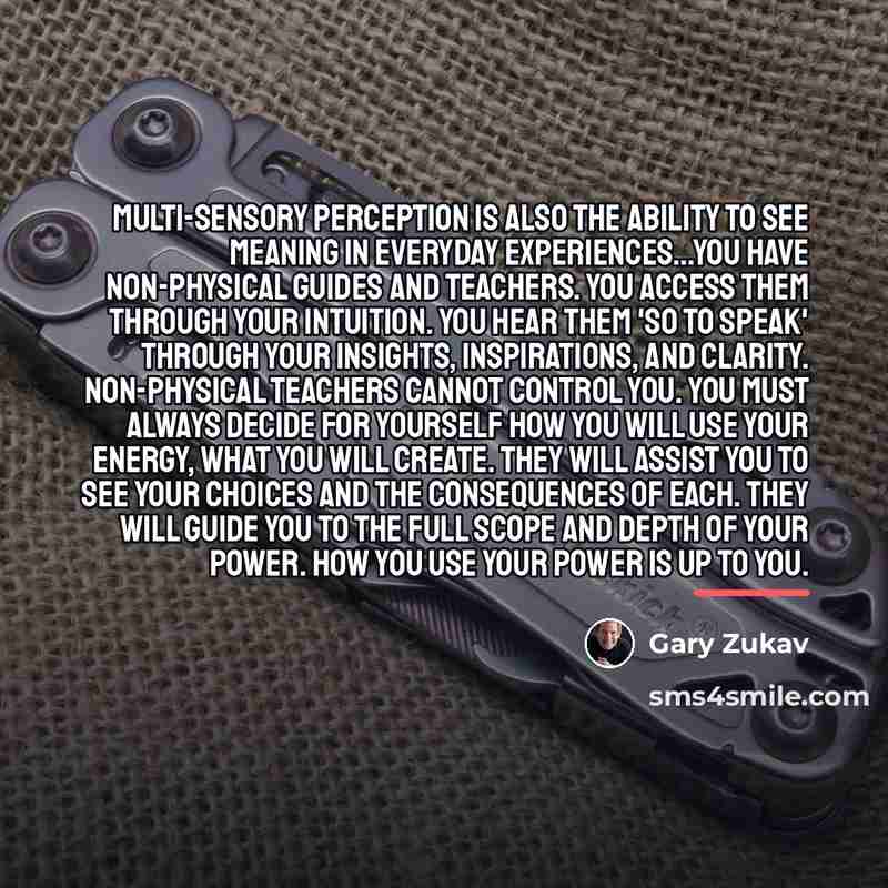 “Multi-sensory perception is also the ability to see meaning in…” quote by Gary Zukav