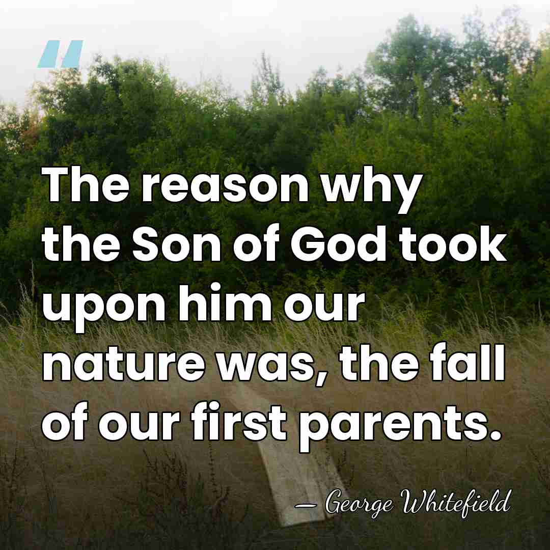 The reason why the Son of God took upon him our nature&hellip; - George Whitefield