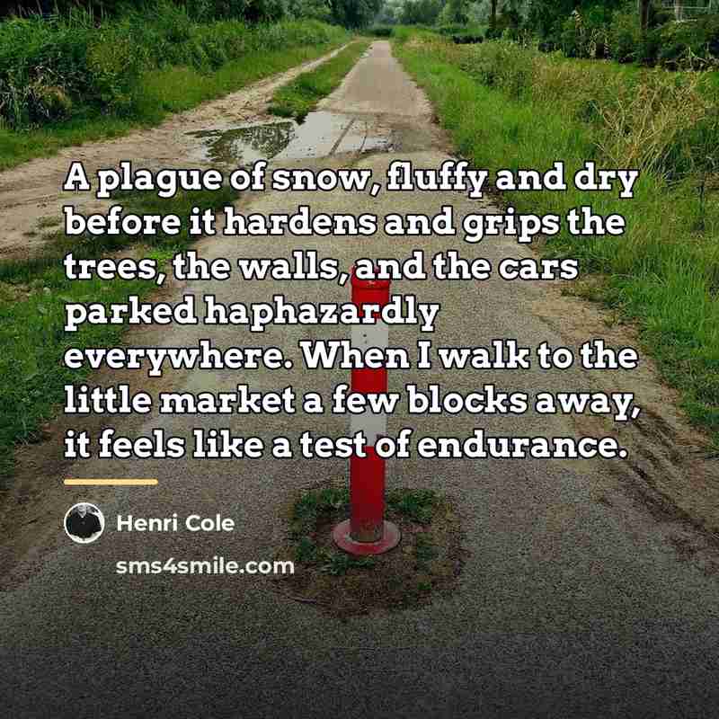 “A plague of snow, fluffy and dry before it hardens…” quote by Henri Cole