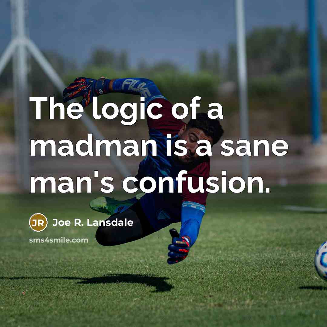 “The logic of a madman is a sane man's confusion.…” quote by Joe R. Lansdale