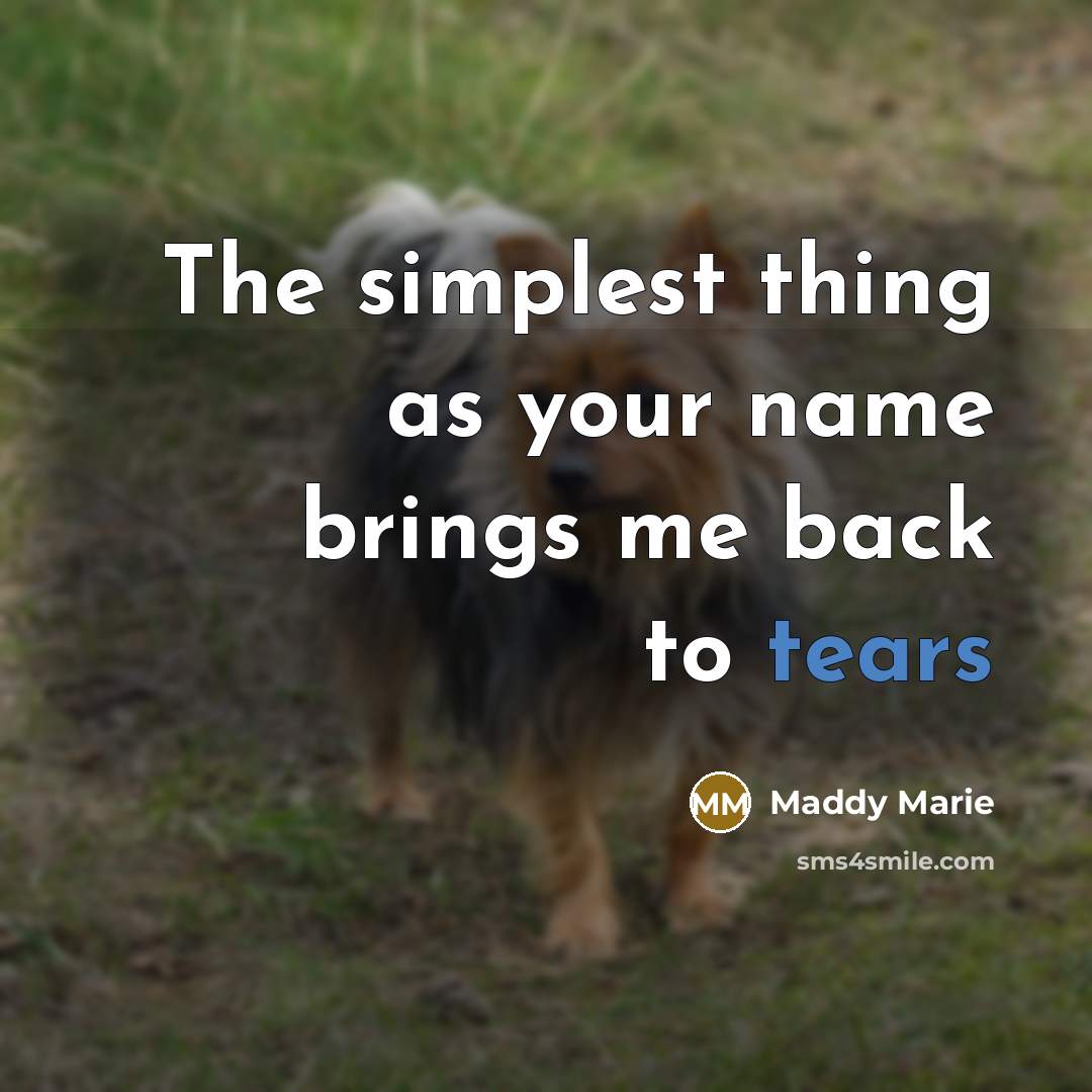 “The simplest thing as your name brings me back to…” quote by Maddy Marie