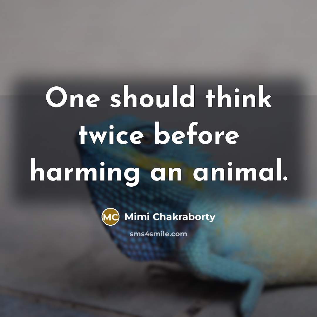 “One should think twice before harming an animal.…” quote by Mimi Chakraborty