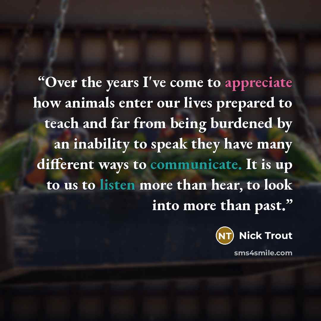 “Over the years I've come to appreciate how animals enter our lives prepared to teach and far from being burdened by an inability to speak they have many different ways to communicate. It is up to us to listen more than hear, to look into more than past.” quote by Nick Trout