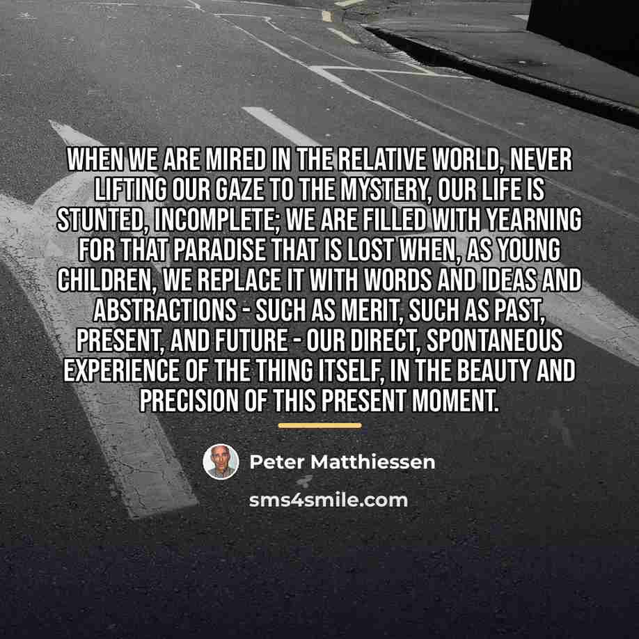 “When we are mired in the relative world, never lifting…” quote by Peter Matthiessen