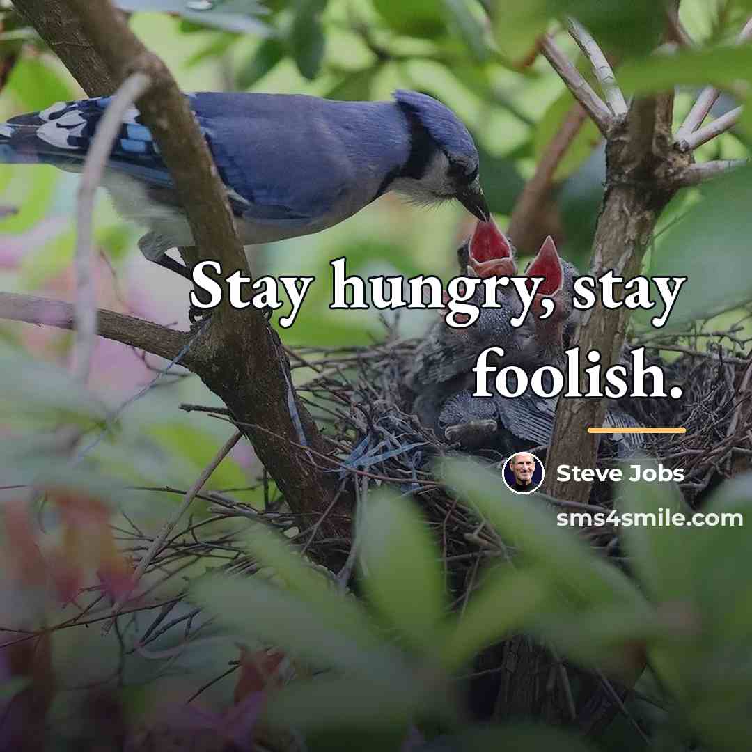 “Stay hungry, stay foolish.…” quote by Steve Jobs