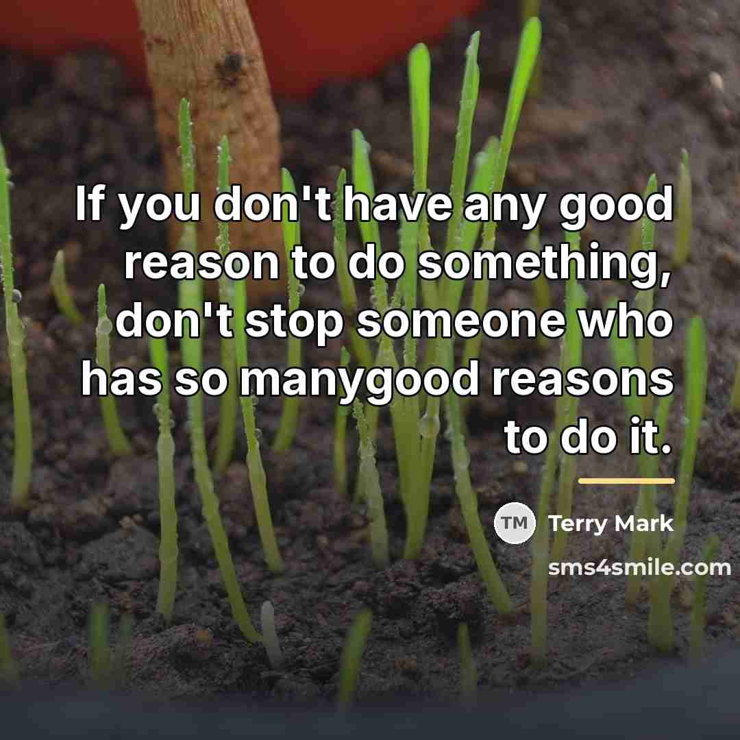 “If you don't have any good reason to do something,…” quote by Terry Mark