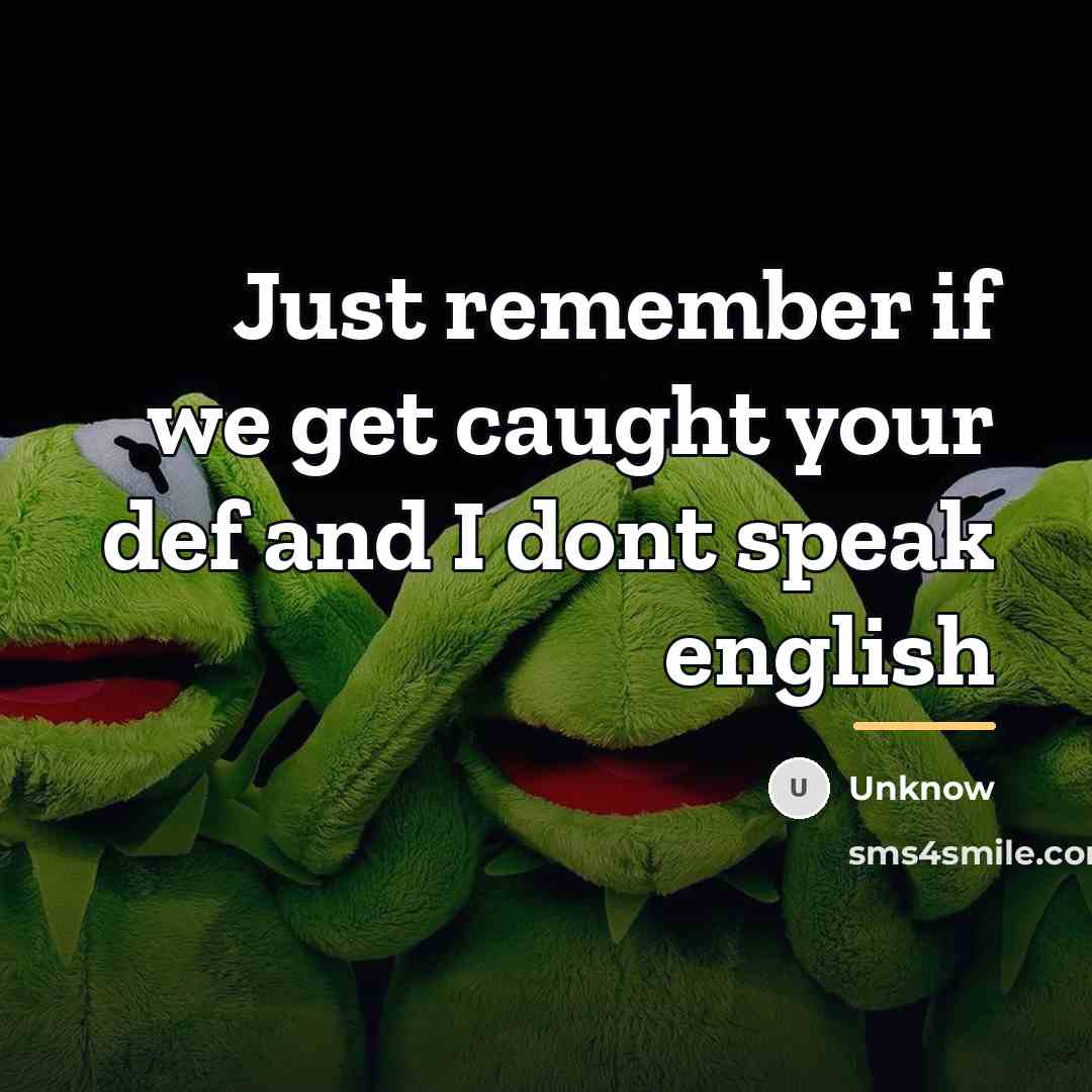 “Just remember if we get caught your def and I…” quote by Unknow
