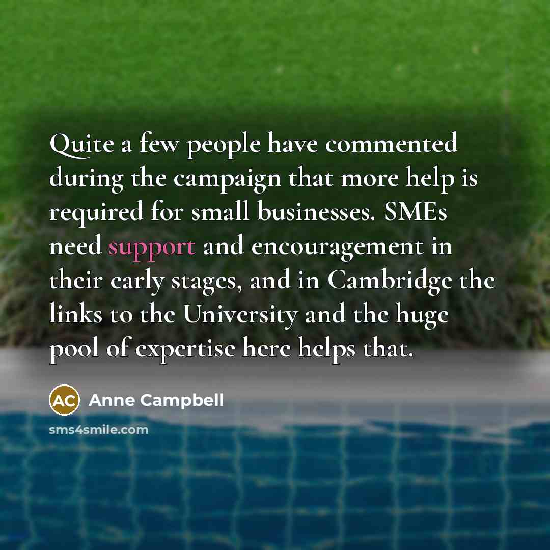 “Quite a few people have commented during the campaign that…” quote by Anne Campbell