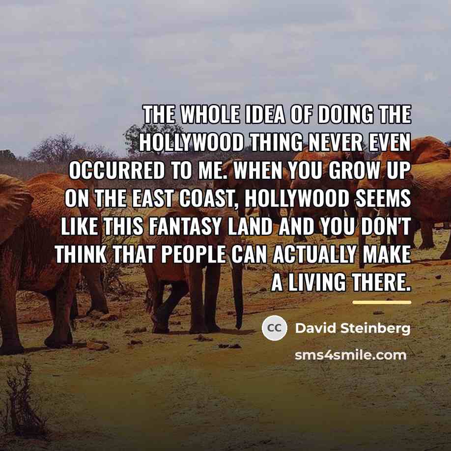 “The whole idea of doing the Hollywood thing never even…” quote by David Steinberg