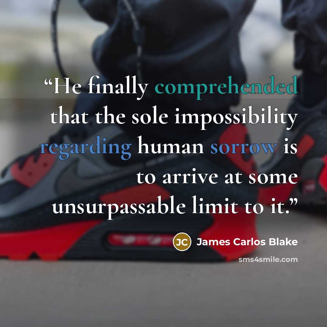 “He finally comprehended that the sole impossibility regarding human sorrow is to arrive at some unsurpassable limit to it.” quote by James Carlos Blake