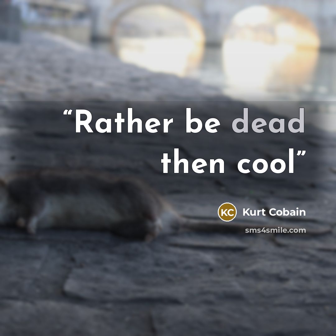 “Rather be dead then cool” quote by Kurt Cobain