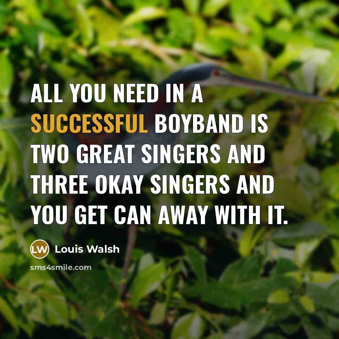 “All you need in a successful boyband is two great…” quote by Louis Walsh