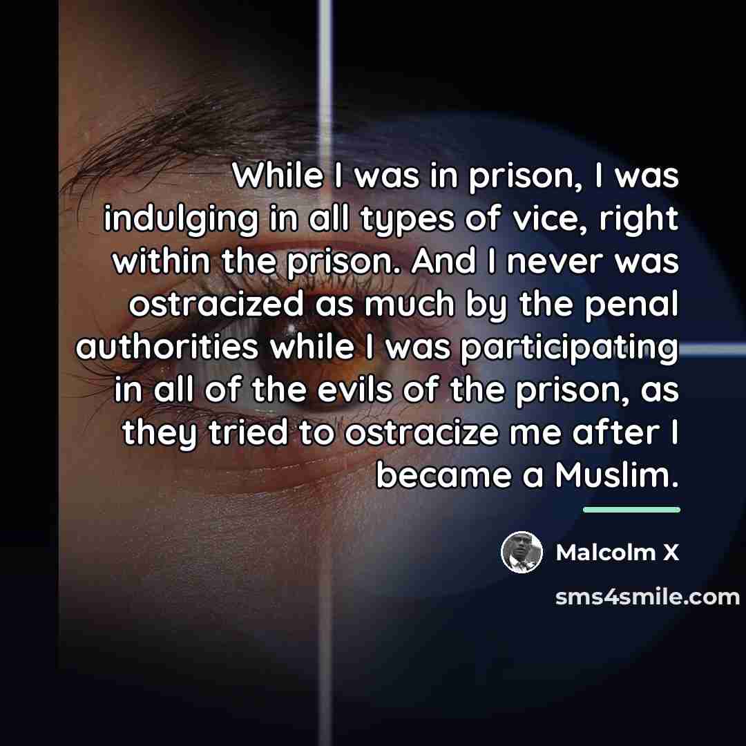 “While I was in prison, I was indulging in all…” quote by Malcolm X