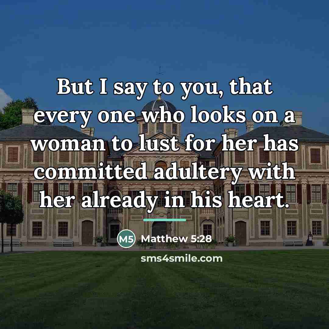 “But I say to you, that every one who looks…” quote by Matthew 5:28