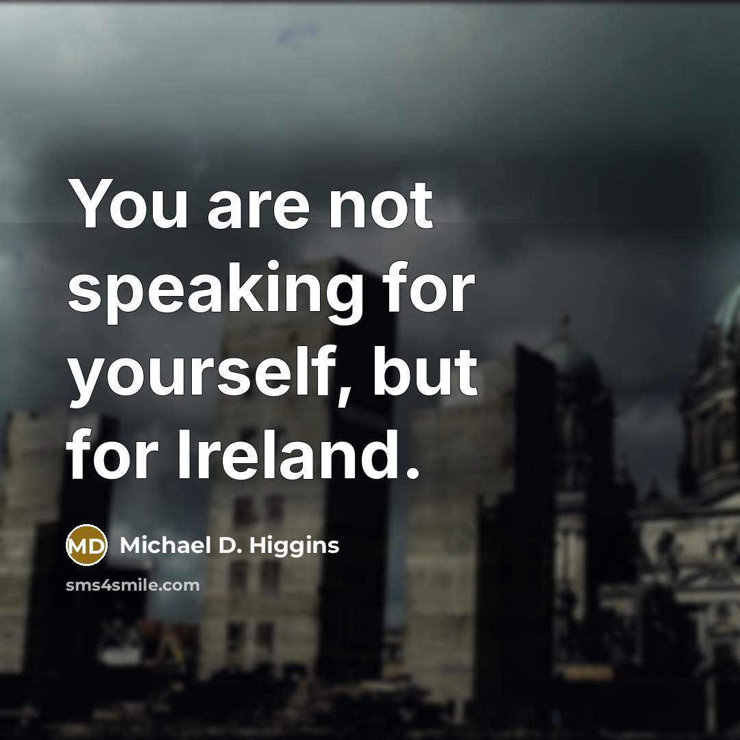 “You are not speaking for yourself, but for Ireland.…” quote by Michael D. Higgins