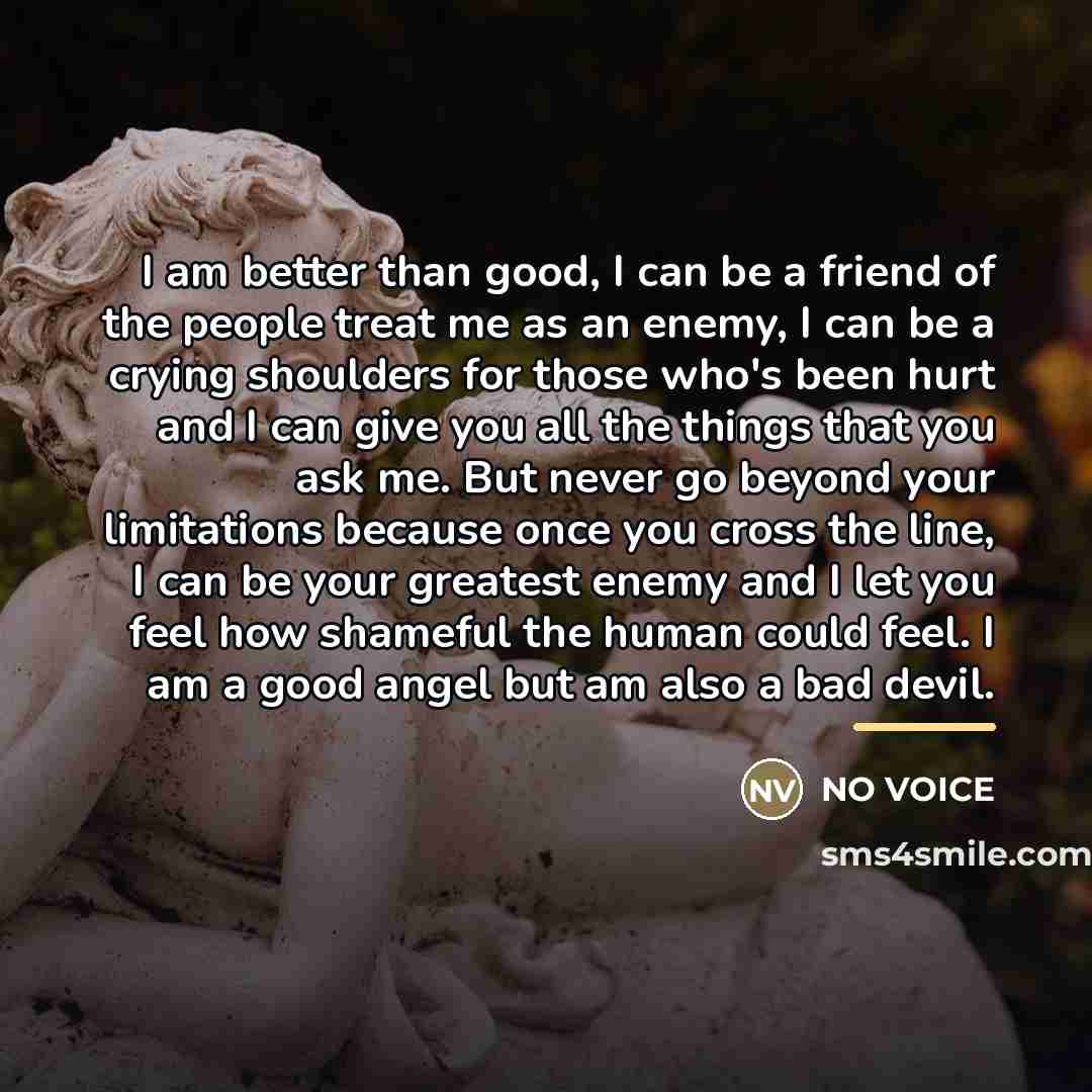 “I am better than good, I can be a friend…” quote by NO VOICE