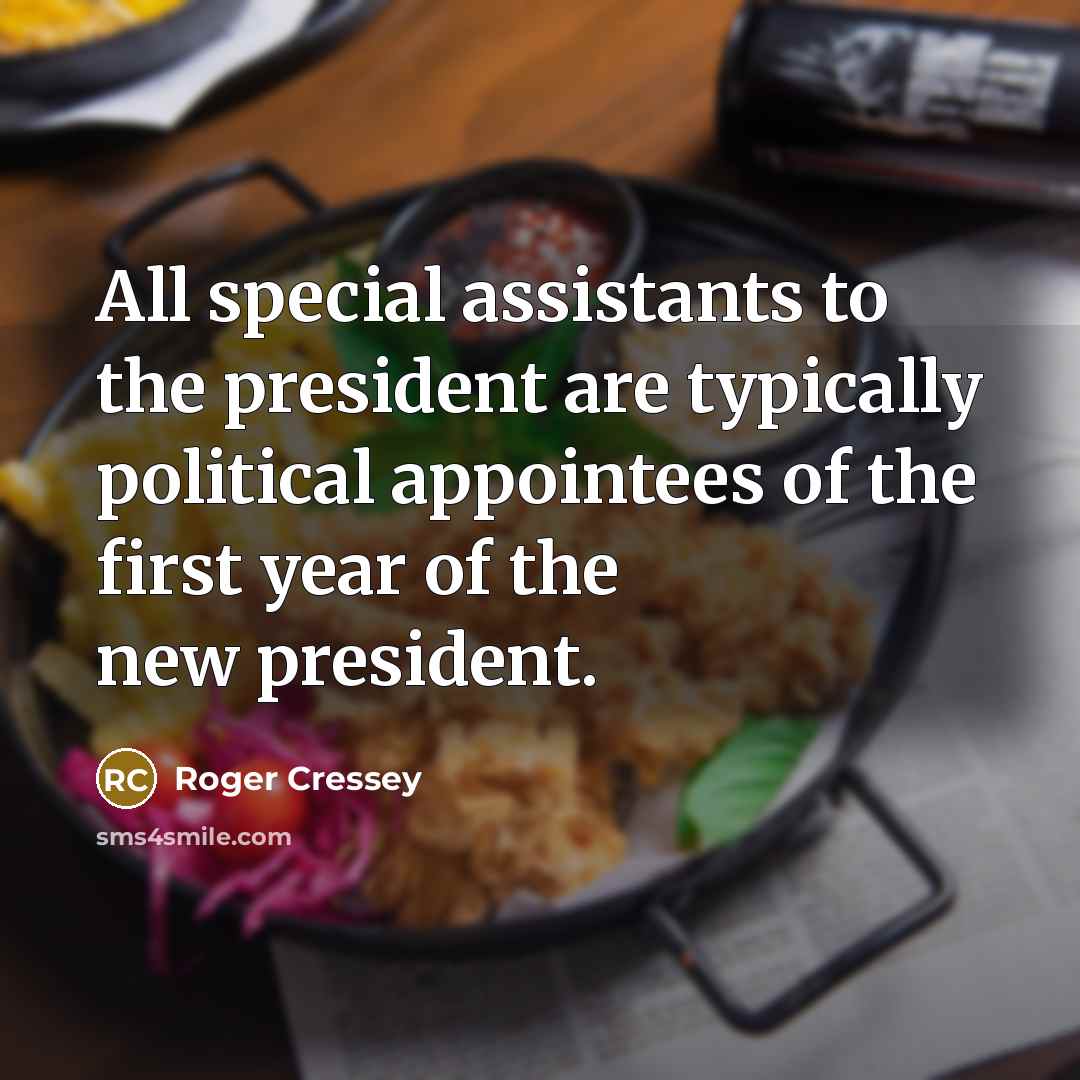 “All special assistants to the president are typically political appointees…” quote by Roger Cressey