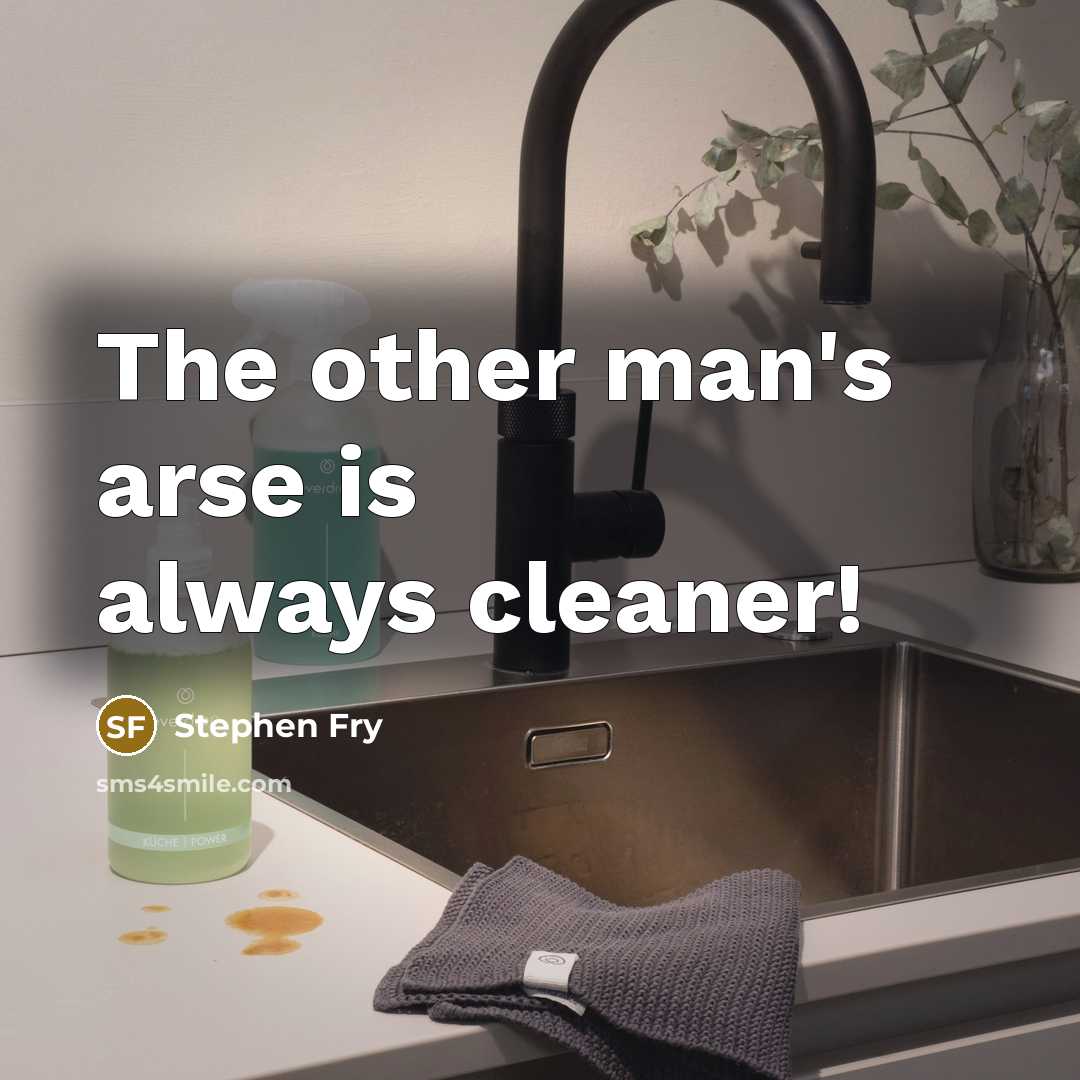“The other man's arse is always cleaner!” quote by Stephen Fry
