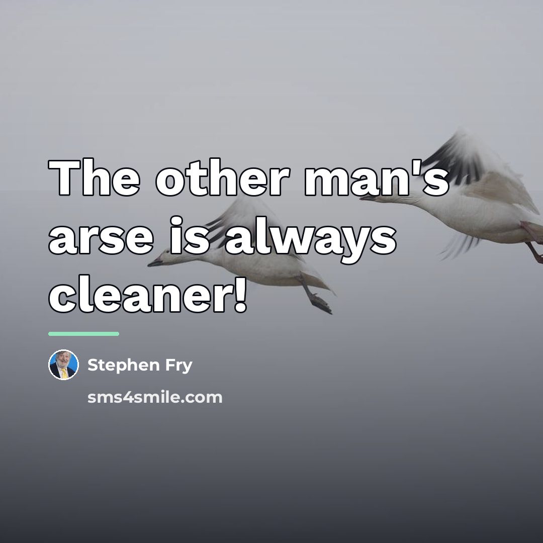 “The other man's arse is always cleaner!…” quote by Stephen Fry