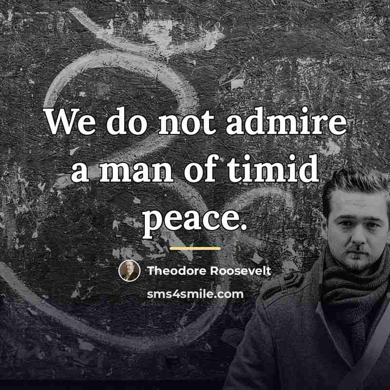 “We do not admire a man of timid peace.…” quote by Theodore Roosevelt