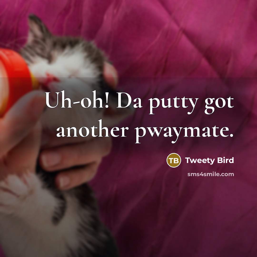 “Uh-oh! Da putty got another pwaymate.…” quote by Tweety Bird