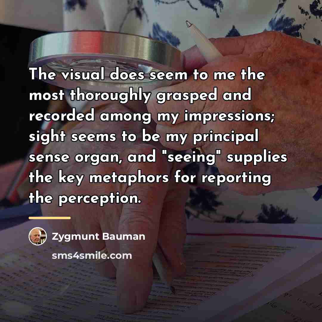 “The visual does seem to me the most thoroughly grasped…” quote by Zygmunt Bauman