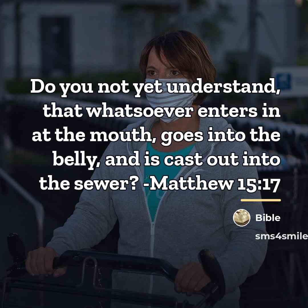 “Do you not yet understand, that whatsoever enters in at…” quote by Bible