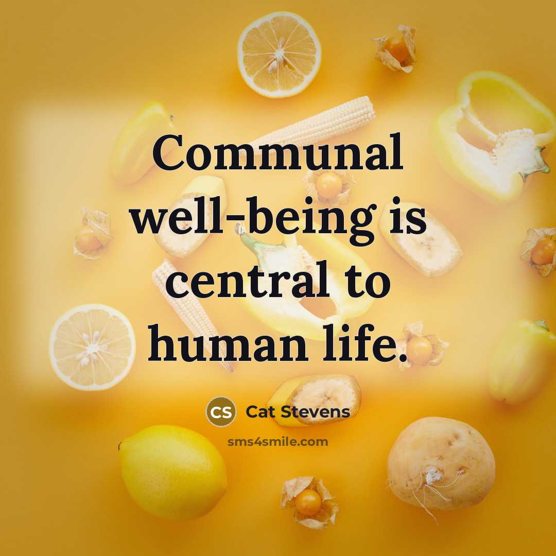 “Communal well-being is central to human life.…” quote by Cat Stevens