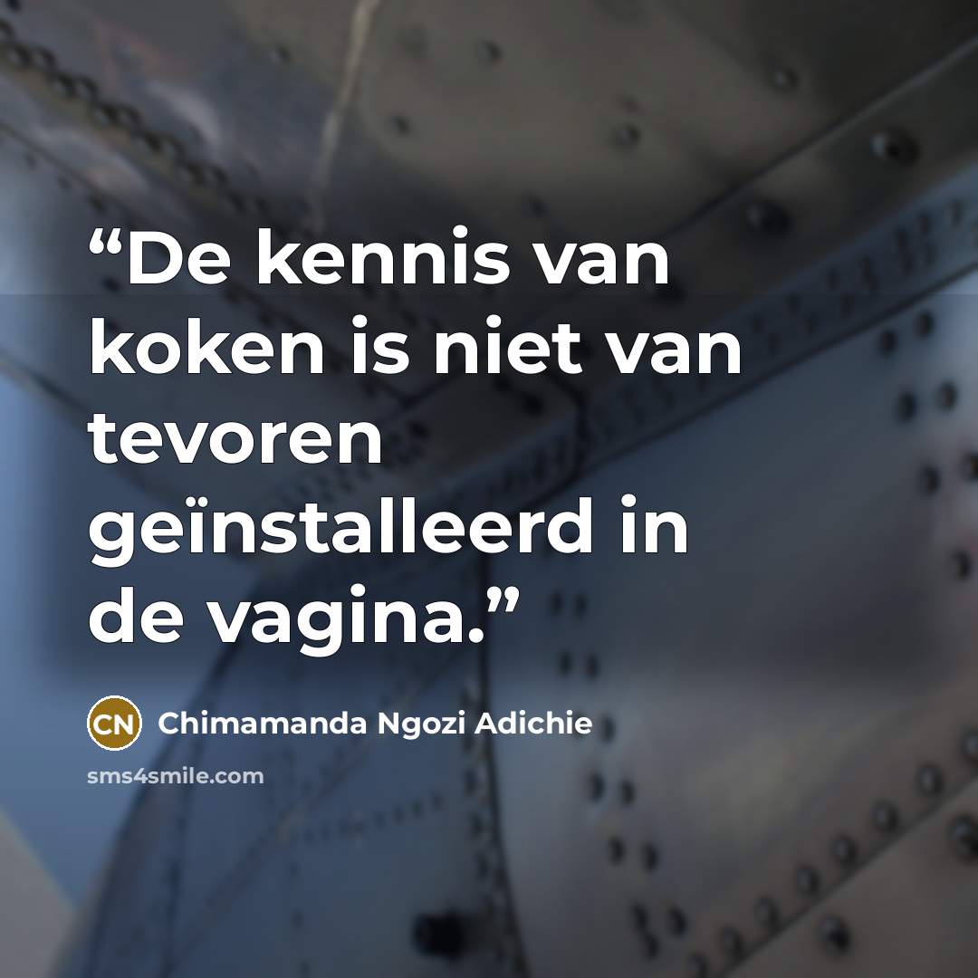 “De kennis van koken is niet van tevoren geïnstalleerd in de vagina.” quote by Chimamanda Ngozi Adichie