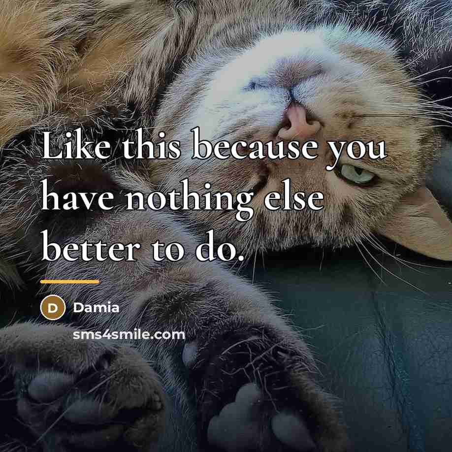 “Like this because you have nothing else better to do.…” quote by Damia