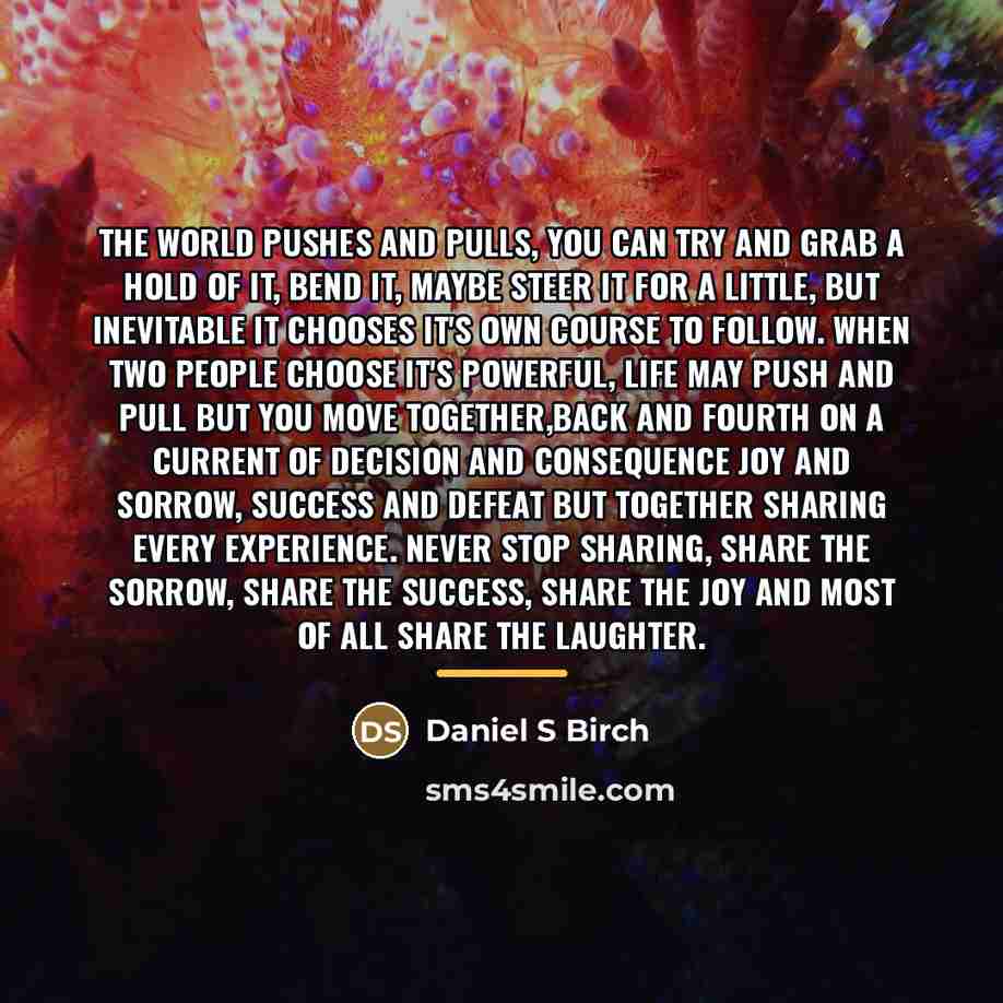 “The world pushes and pulls, you can try and grab…” quote by Daniel S Birch