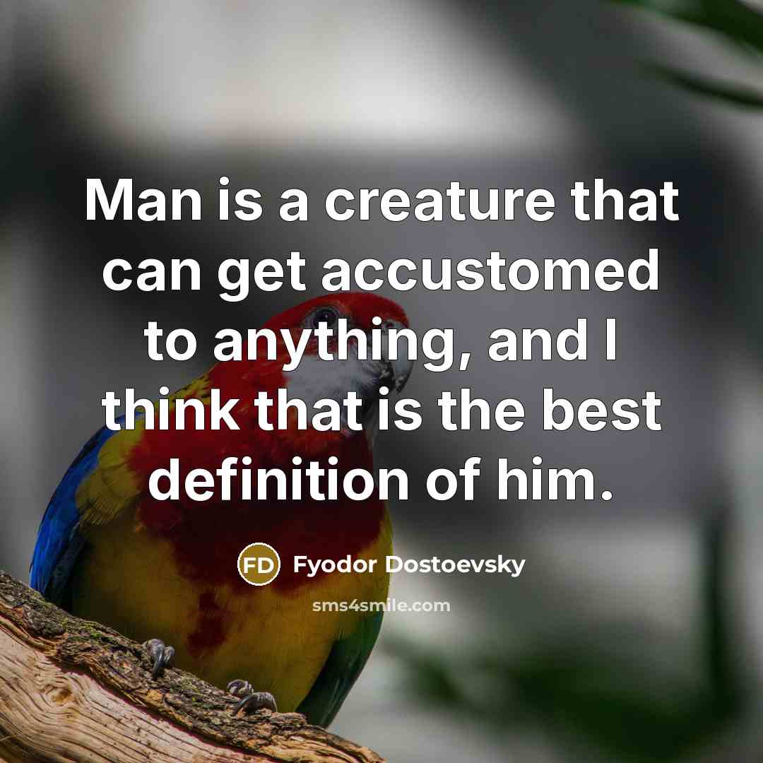 “Man is a creature that can get accustomed to anything, and I think that is the best definition of him.” quote by Fyodor Dostoevsky