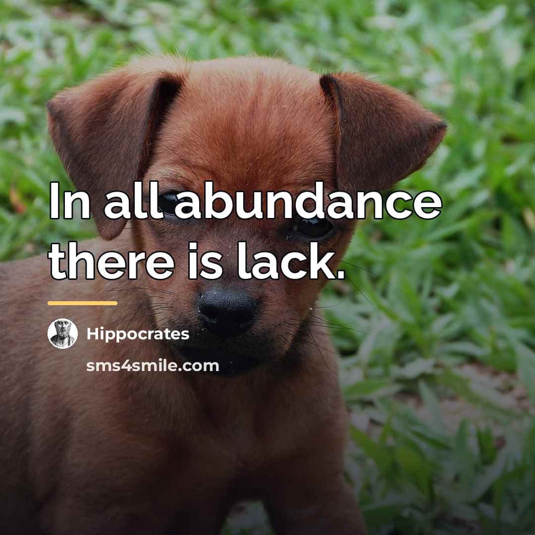 “In all abundance there is lack.…” quote by Hippocrates