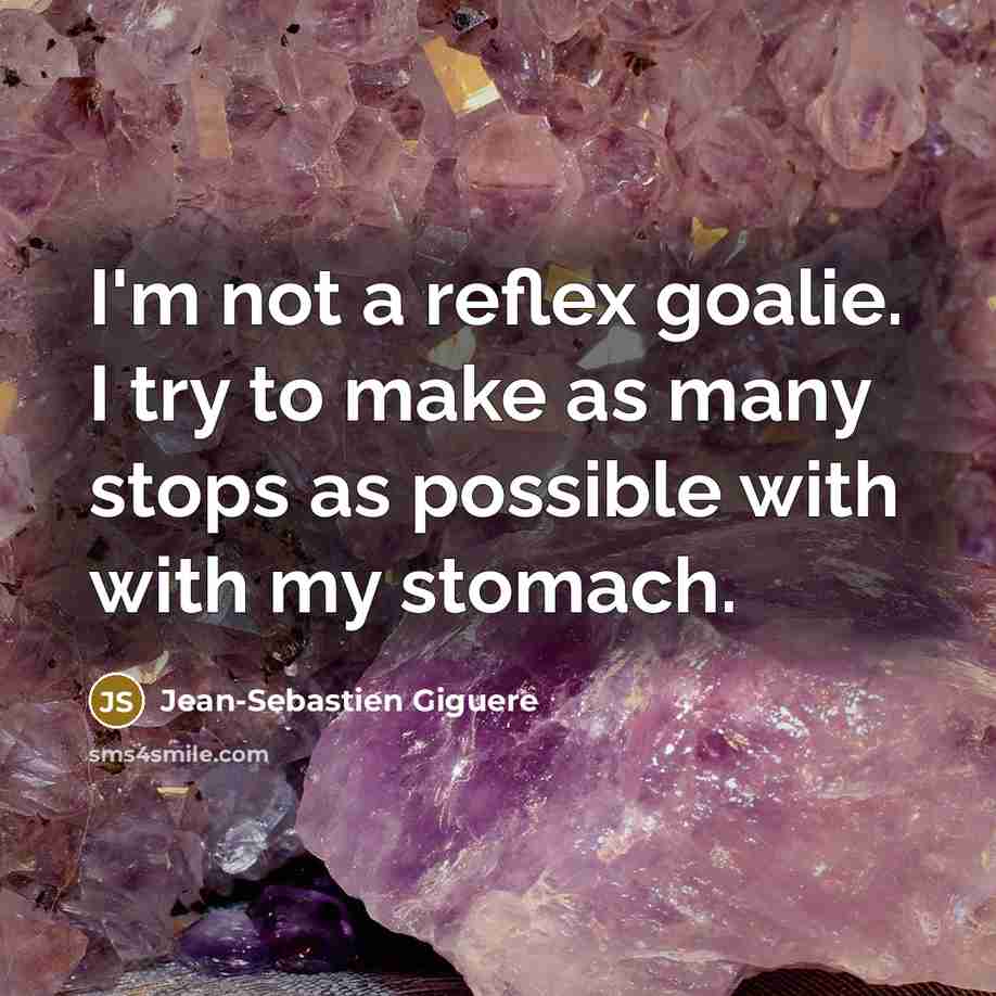 “I'm not a reflex goalie. I try to make as…” quote by Jean-Sebastien Giguere