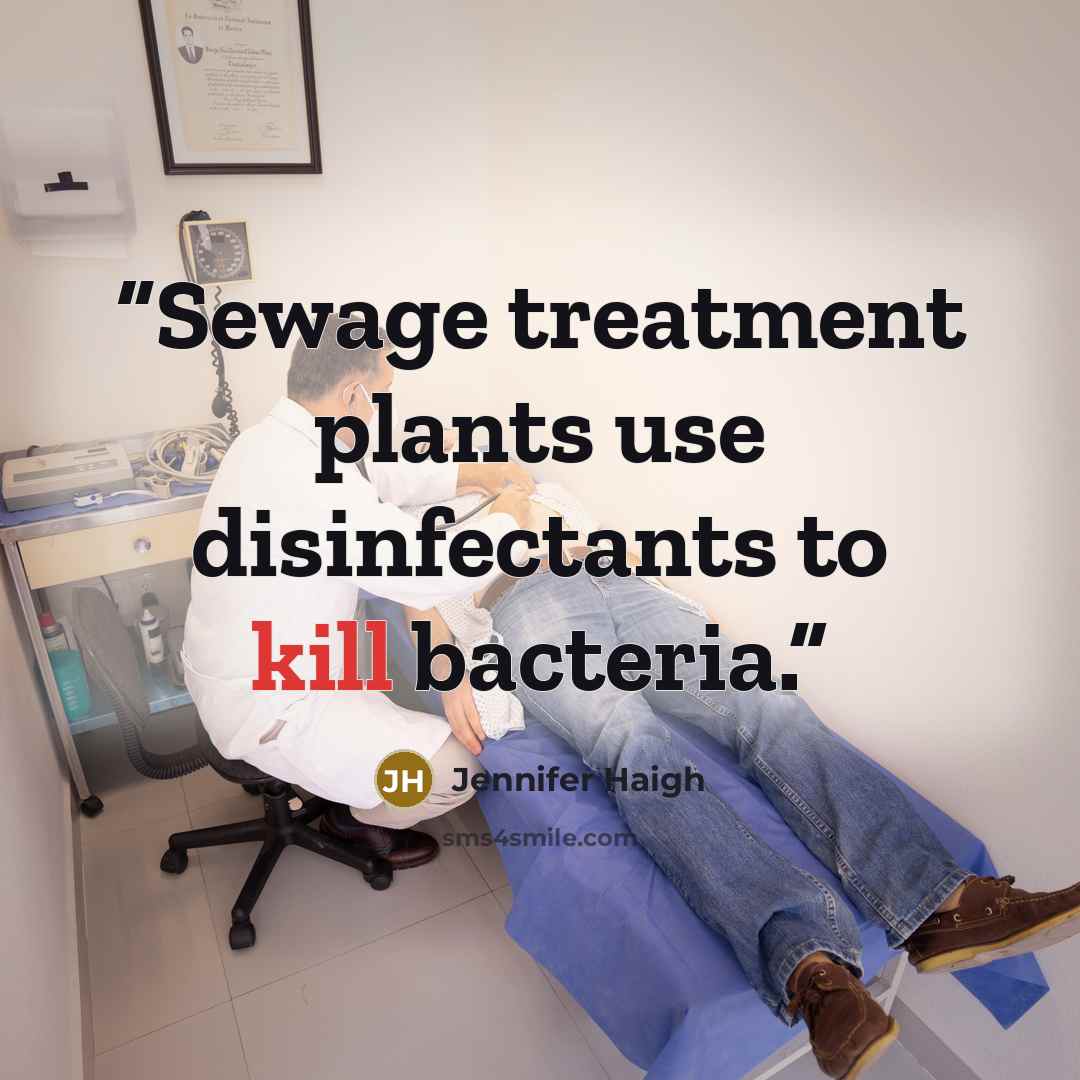 “Sewage treatment plants use disinfectants to kill bacteria.” quote by Jennifer Haigh