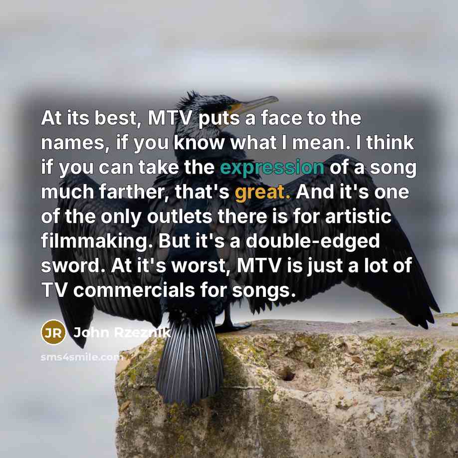 “At its best, MTV puts a face to the names,…” quote by John Rzeznik