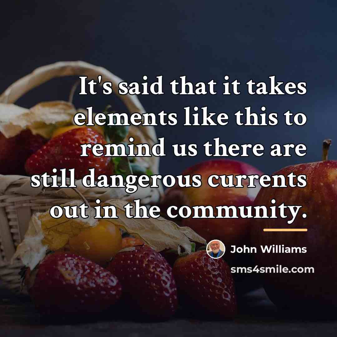 “It's said that it takes elements like this to remind…” quote by John Williams