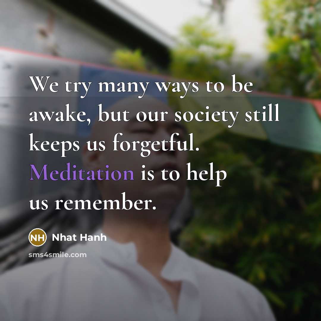 “We try many ways to be awake, but our society…” quote by Nhat Hanh