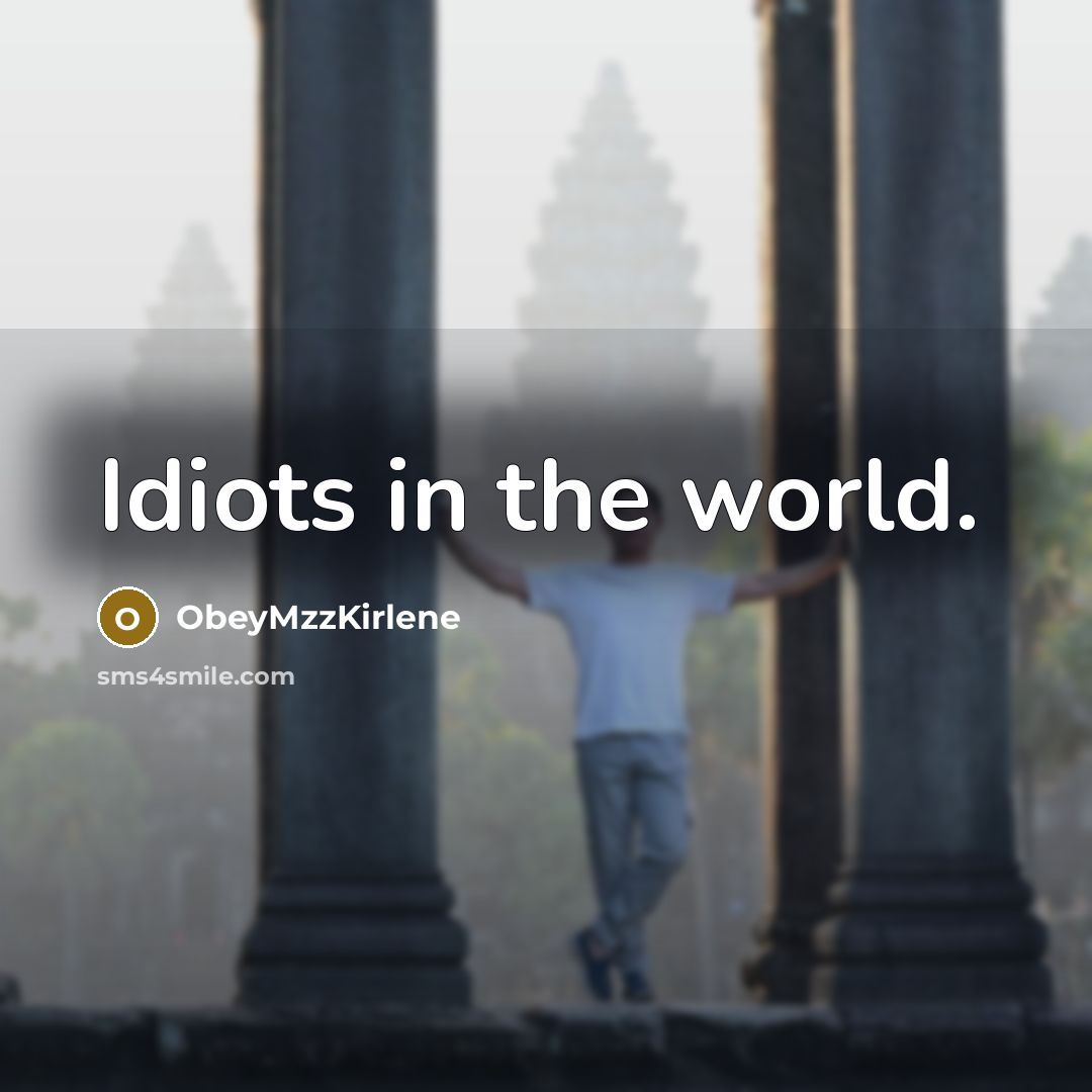 “Idiots in the world.…” quote by ObeyMzzKirlene
