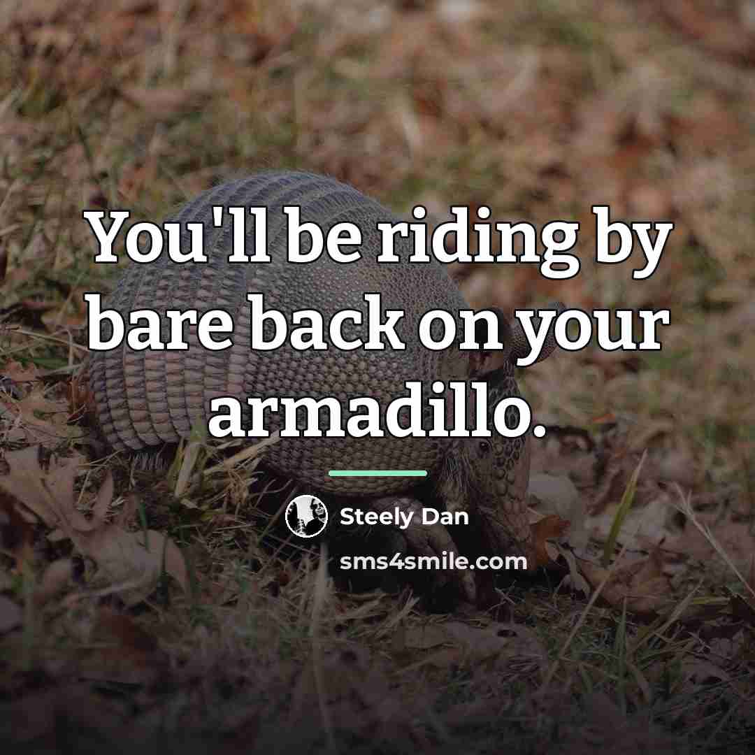 “You'll be riding by bare back on your armadillo.…” quote by Steely Dan