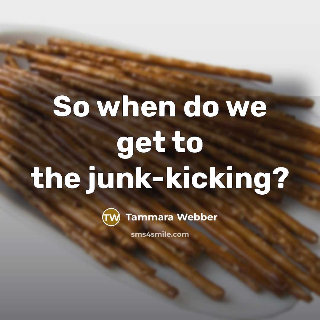 “So when do we get to the junk-kicking?…” quote by Tammara Webber