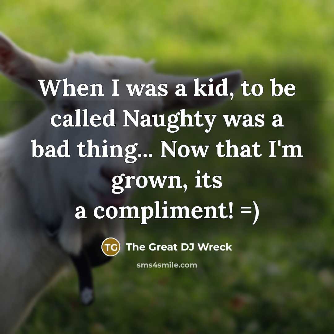 “When I was a kid, to be called Naughty was a bad thing... Now that I'm grown, its a compliment! =)” quote by The Great DJ Wreck