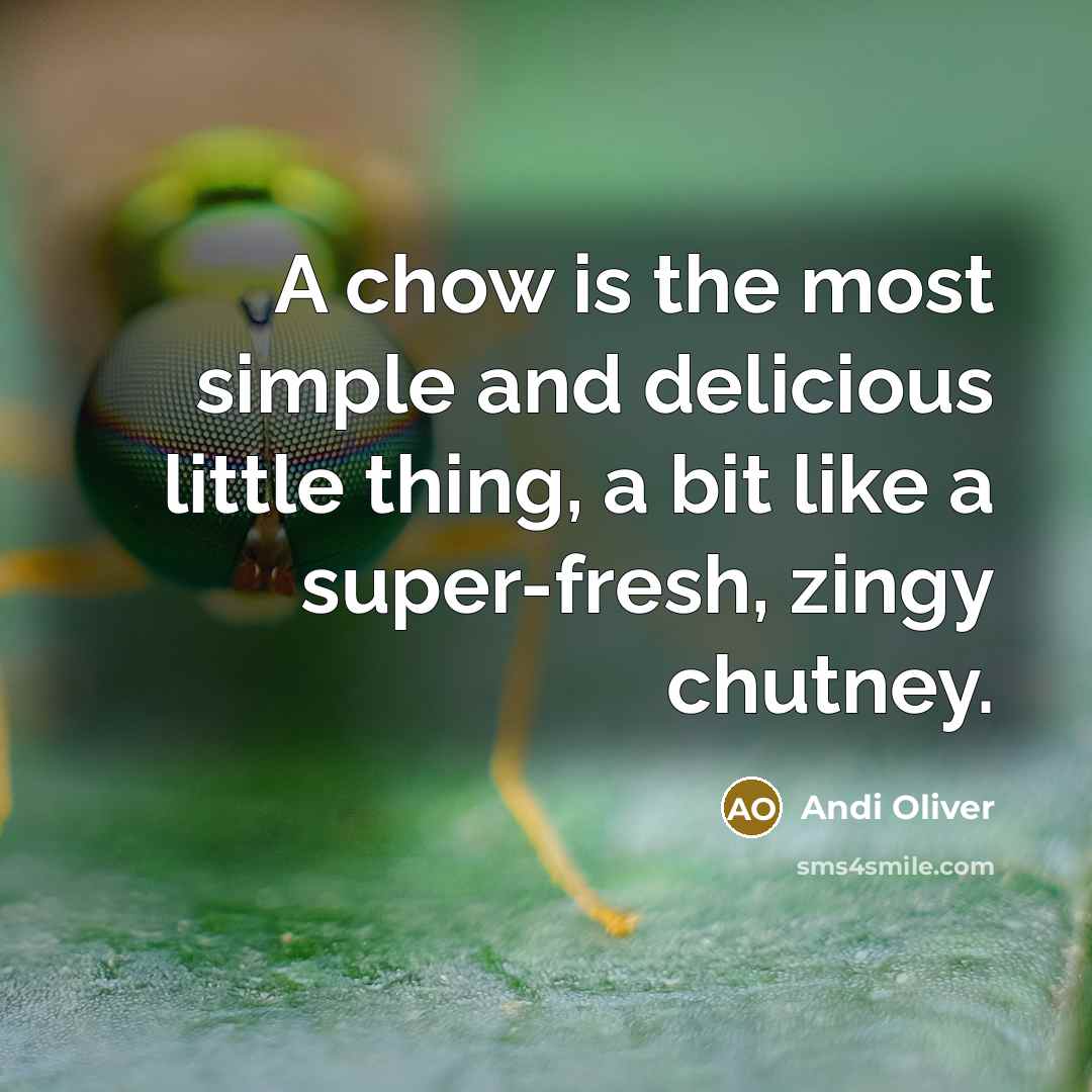“A chow is the most simple and delicious little thing,…” quote by Andi Oliver