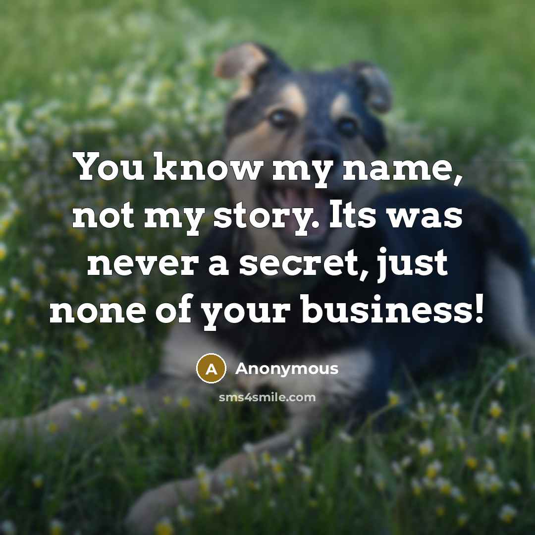 “You know my name, not my story. Its was never…” quote by Anonymous